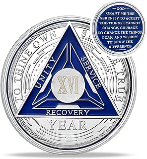 Recovery Triangle 16 Year Sobriety Coin - Silver Roman Numeral NA AA Coins - 1-40 Prime NA/HA/AA Chips and Medallions - Narcotics Alcoholics Anonymous Sober Gifts for Men Women