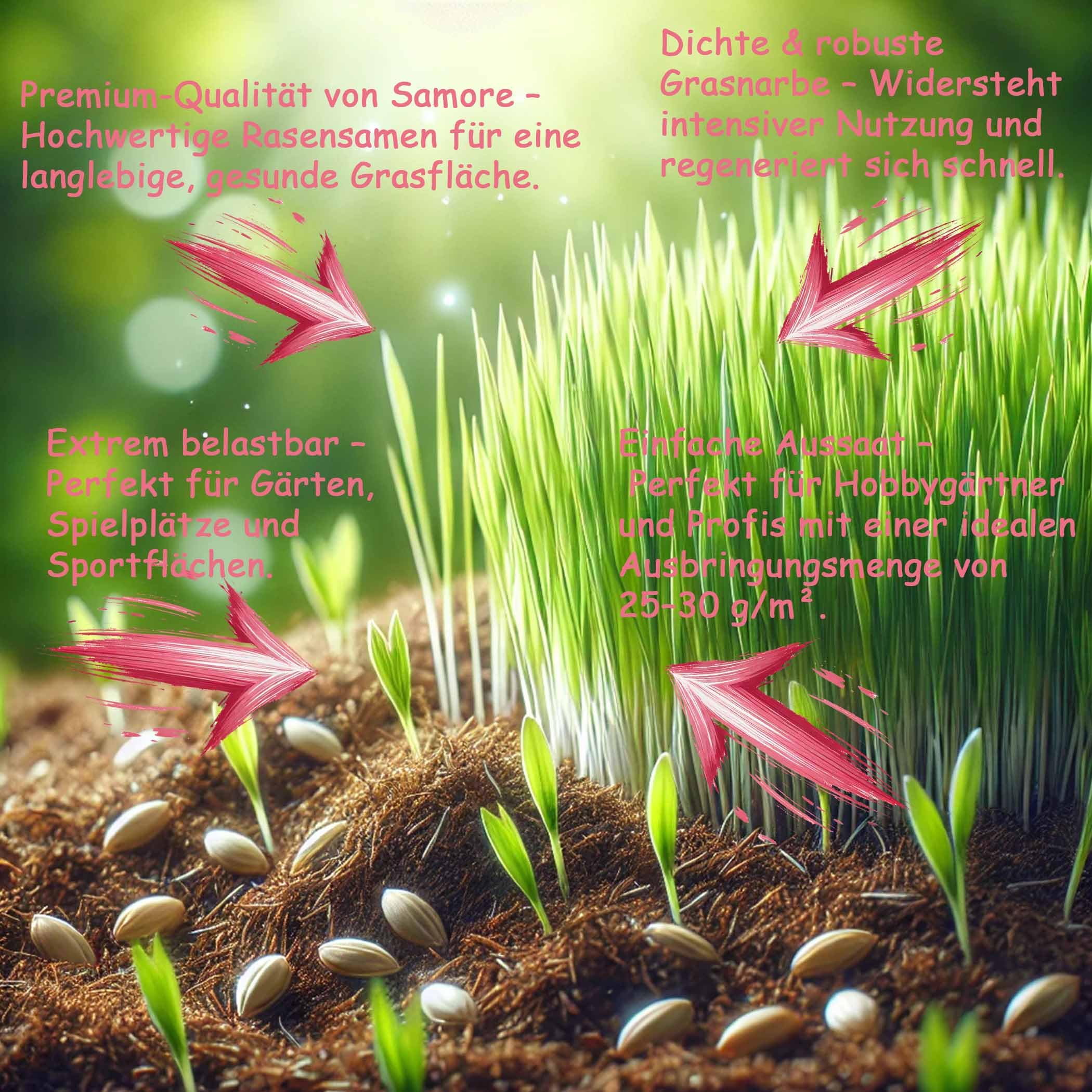 10 kg Rasensamen Sport und Spiel | schnellkeimend |reicht für 400m² Rasen | robust|tiefgrün | ideal für Neuansaat, Nachsaat, Rasensaat Grassamen | trockenresistent | dürreresistent - Made in Germany