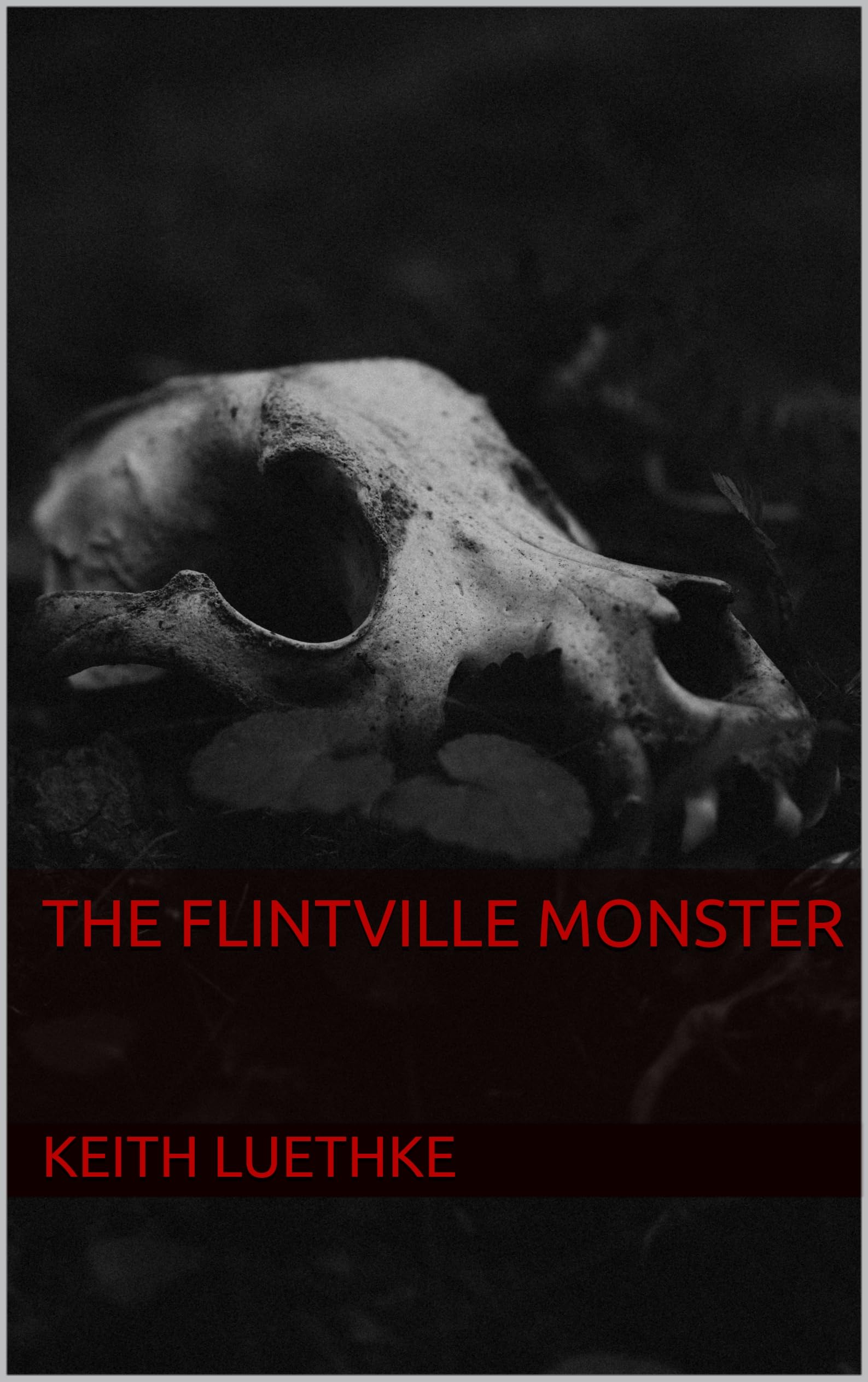 Cover of The Flintville Monster