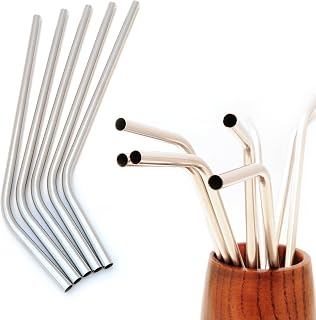 Ganzoo Stainless Steel Bundled Straw Set, Color: Silver 5er Set SILVER