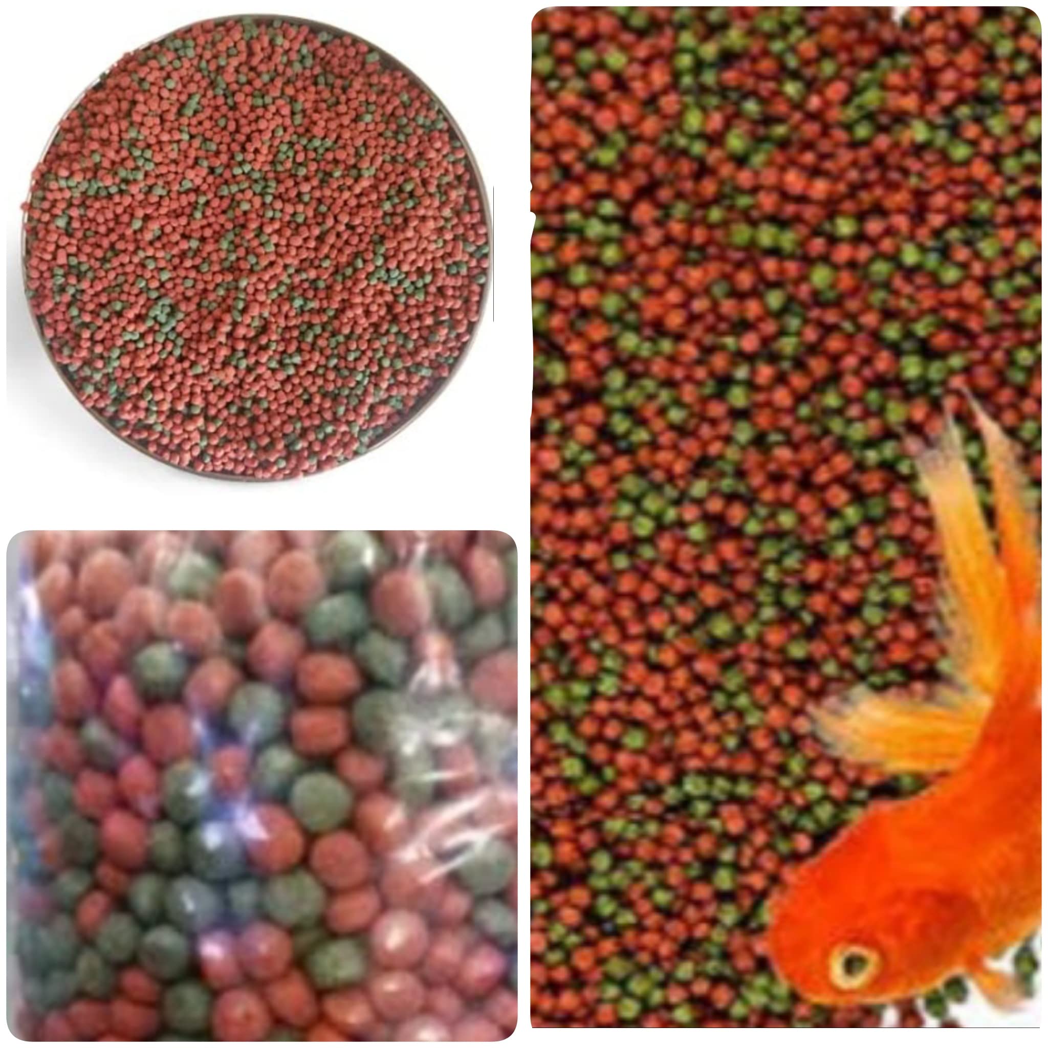 Home Made/Organic/Fish Food for Aquarium with 26% Protien | Aquarium Fish Food for All Small and Medium Tropical Fishes| Daily Nutrition Pellet Fish Feed for Health & Growth | 60g (B0BNFXNQ1Z) Amazon Price History, Amazon Price Tracker