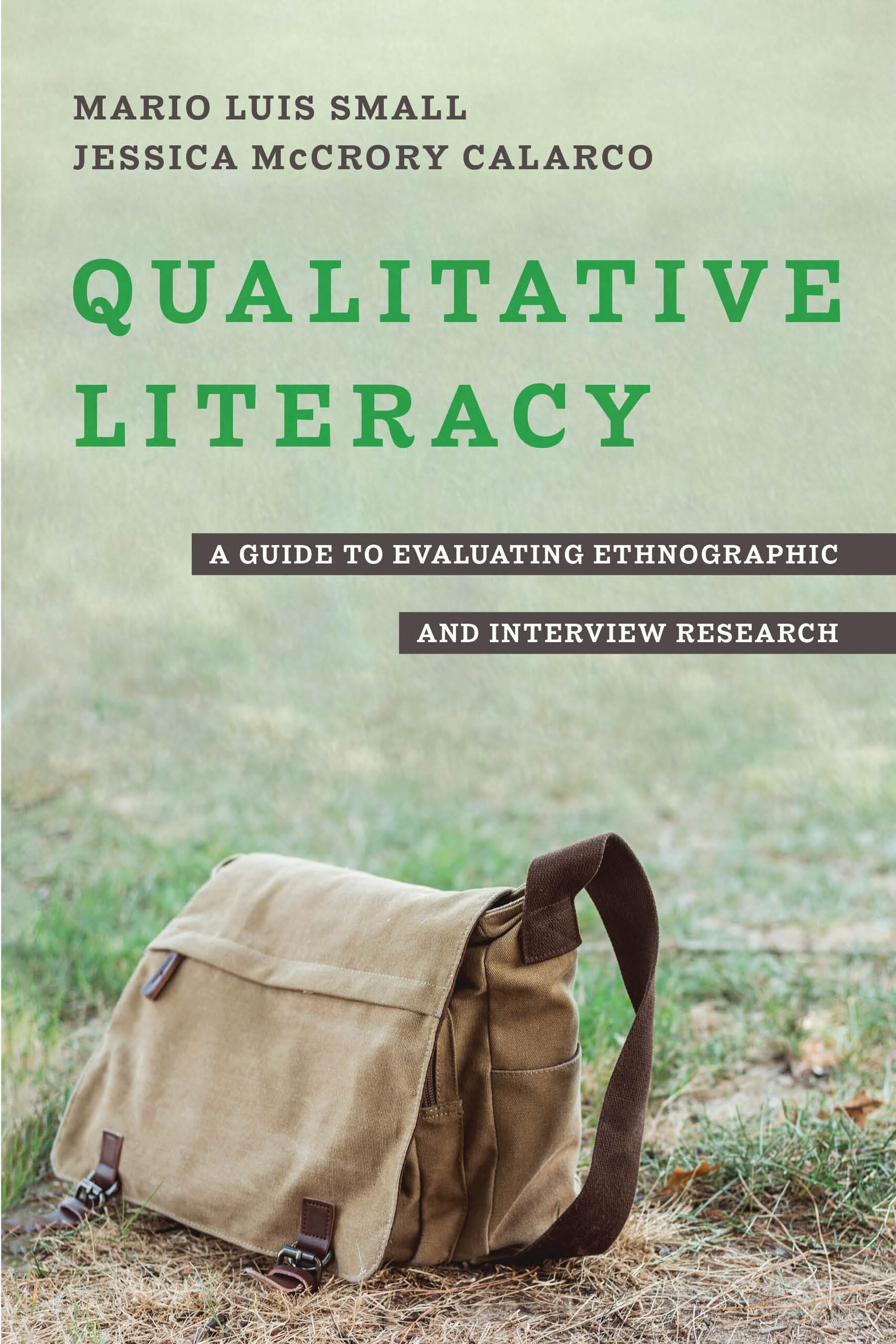 Qualitative Literacy: A Guide to Evaluating Ethnographic and Interview ...