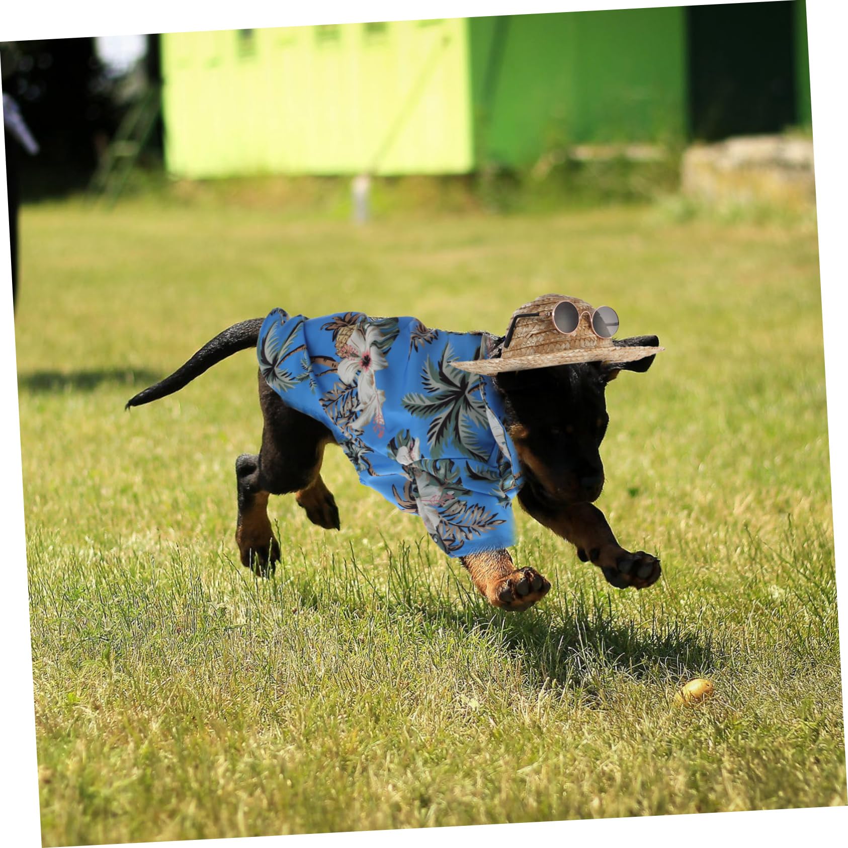 YARNOW 9 Pcs Accessori Per Animali Da Compagnia Hawaiian Costume Pet Summer Cool T-Shirt Hawaiana Camicia Per L'Estate Occhiali Da Sole Da Spiaggia Carro Armato Di Cotone Occhiali