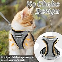 Vista 84 de rabbitgoo Arnés y correa para caminar, a prueba de escapes, chaleco suave y ajustable para gatos, fácil de controlar, transpirable, tiras