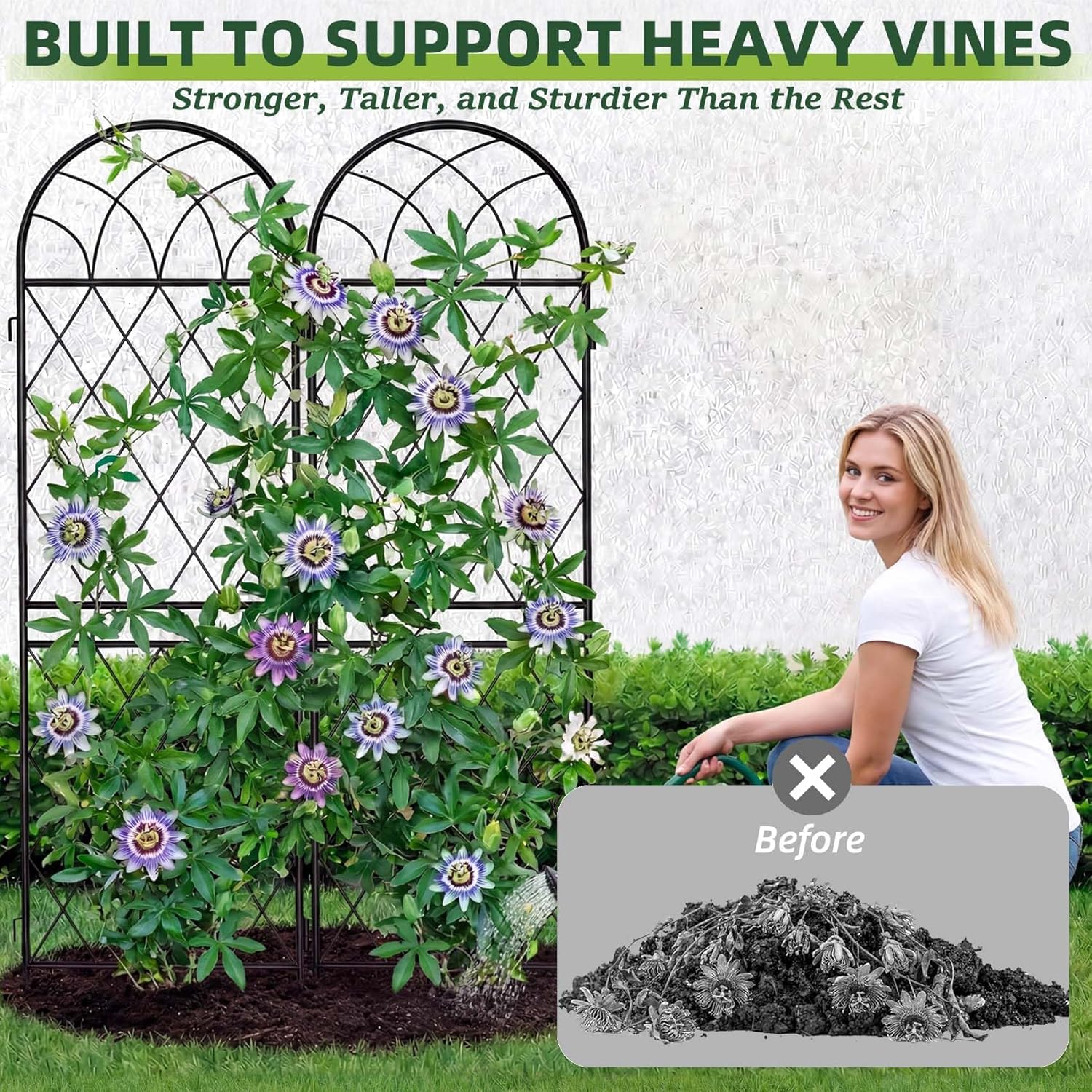 2 Pack 70.8" X 19.7" Metal Garden Trellis for Climbing Plants Outdoor - Rustproof Heavy Duty Arched Trellis - Decorative Rose Plant Support Trellis for Roses,Vines,Vegetables,Flowers,Black