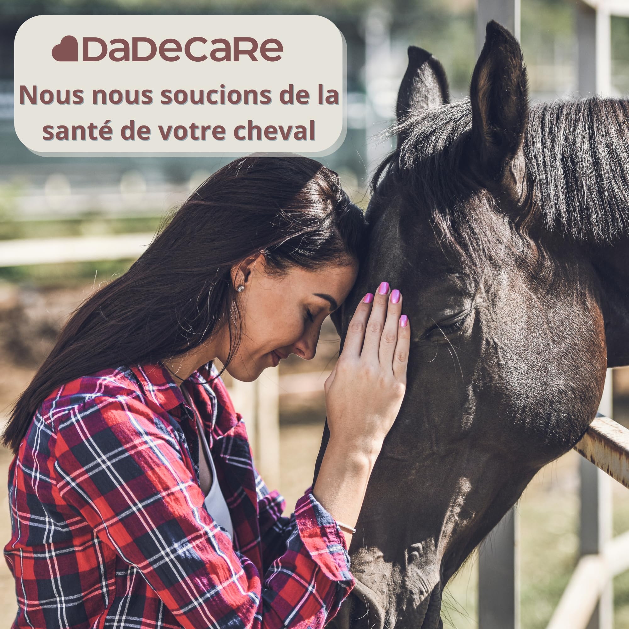 Promocare - Vitamines pour Chevaux 1 L avec acides aminés Essentiels et antioxydants - Complexe vitaminique B, E, C et A - Soutien au métabolisme, à l'énergie, à la récupération