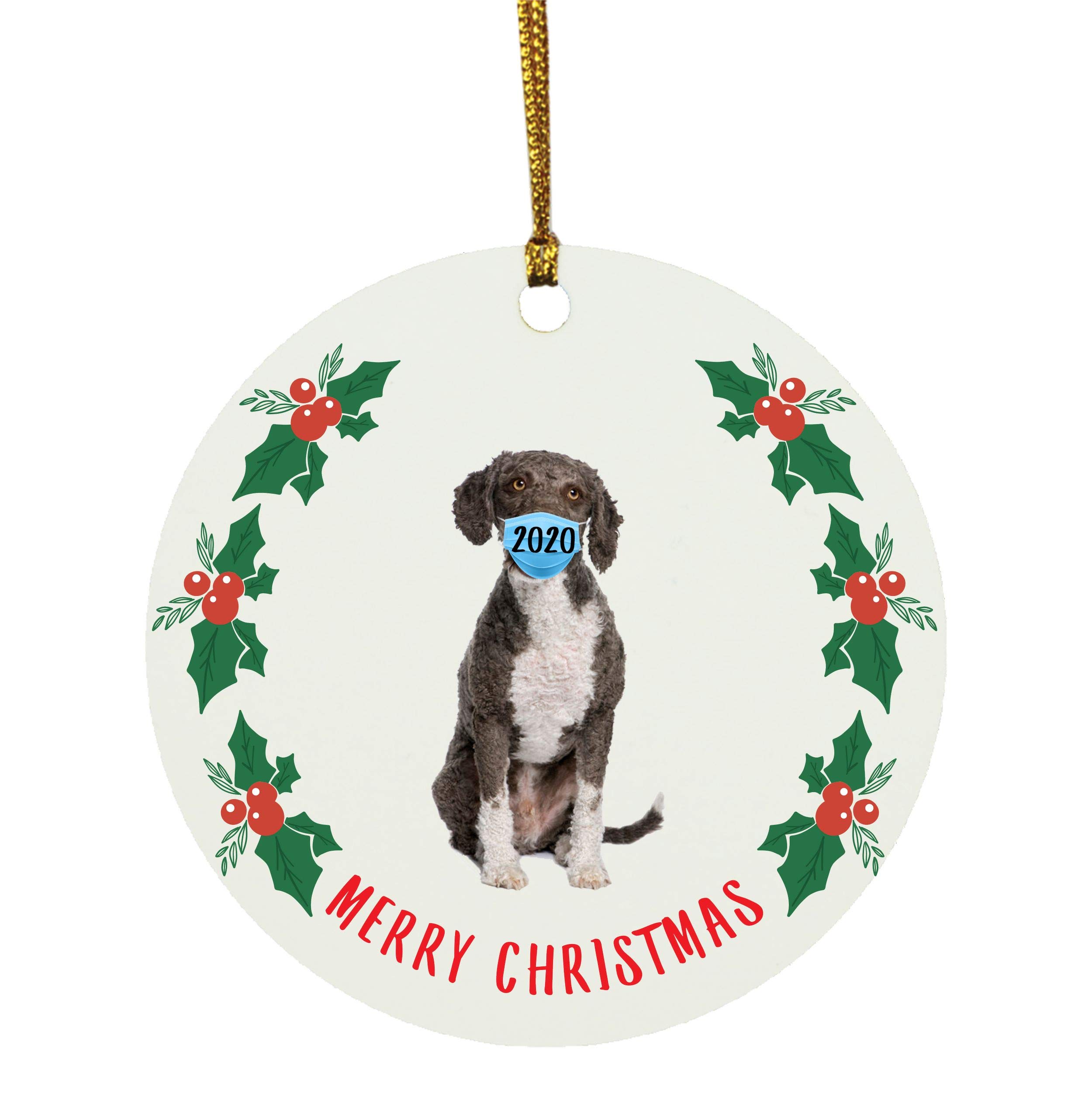 Do Dogs Have To Be Quarantined In Spain