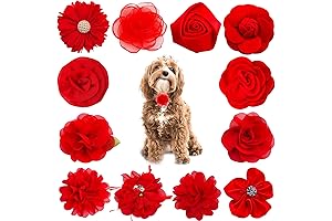 Red Bow Adjustable Dog Collar for Stylish Girls