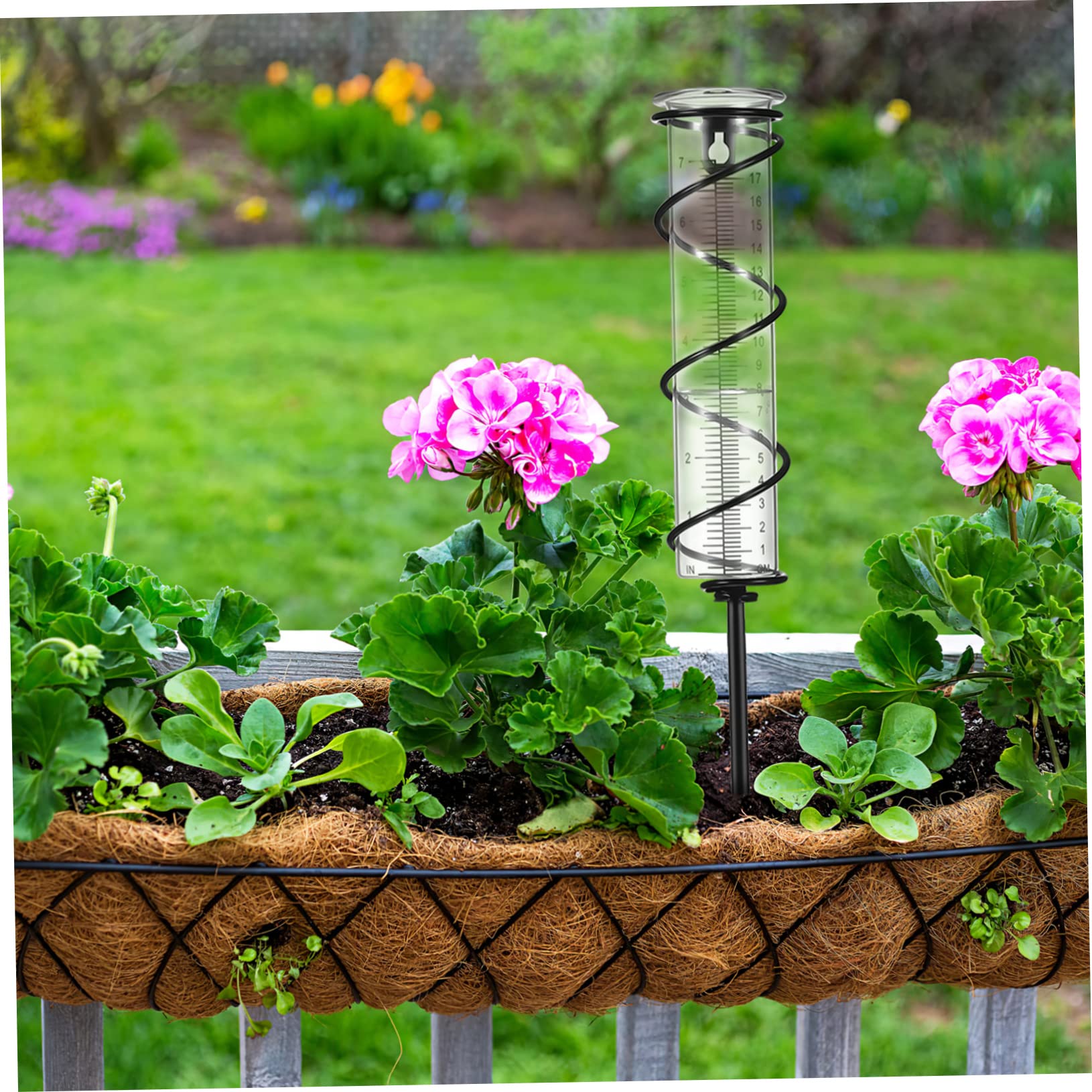 Pluviometro Esterni Con Staffa in Metallo Tubo Di Accumulo Dell'acqua Piovana Contenitore Di Misurazione Delle Precipitazioni Scala in Pollici E Centimetri Per Giardino E Cortile