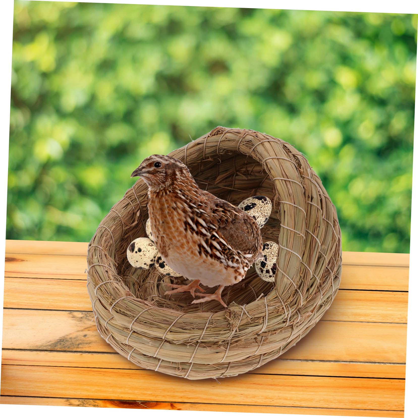 HANABASS 2 Piezas Nido para Gallinas Ponedoras de Paja Natural