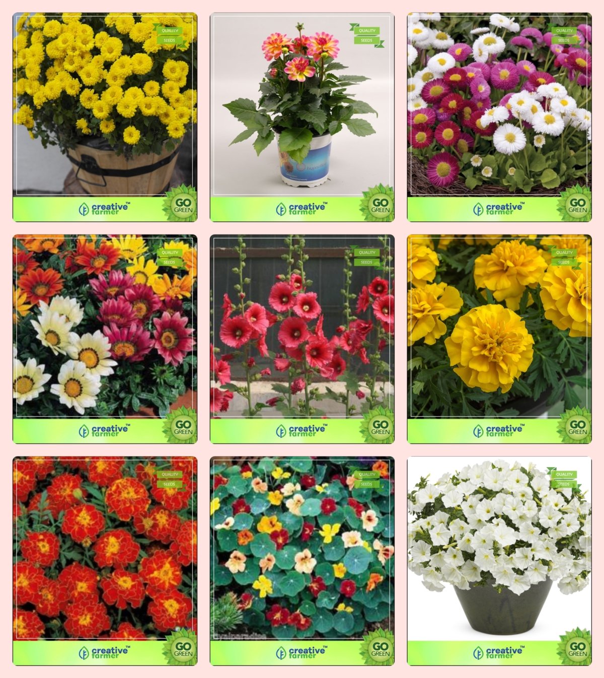 See full amazon price history chart for Creative Farmer Flower Seeds : Flower Seeds Tropical Combo Chrysanthemum, Dahlia -Pompon, Daisy- White, Gazania-Sunshine, Hollyhocks, Marigold-Yellow, Marigold-Nana Bonita and Others -2 Packs Creative Farmer Flower Seeds : Flower Seeds Tropical Combo Chrysanthemum, Dahlia -Pompon, Daisy- White, Gazania-Sunshine, Hollyhocks, Marigold-Yellow, Marigold-Nana Bonita and Others -2 Packs (B076M4MH96) Amazon Price History, Amazon Price Tracker