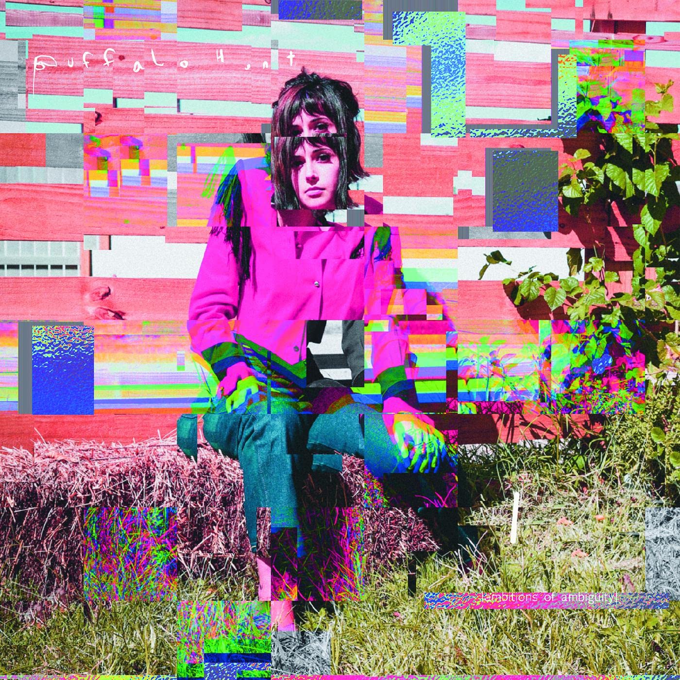 Ambitions Of Ambiguity [VINYL]
