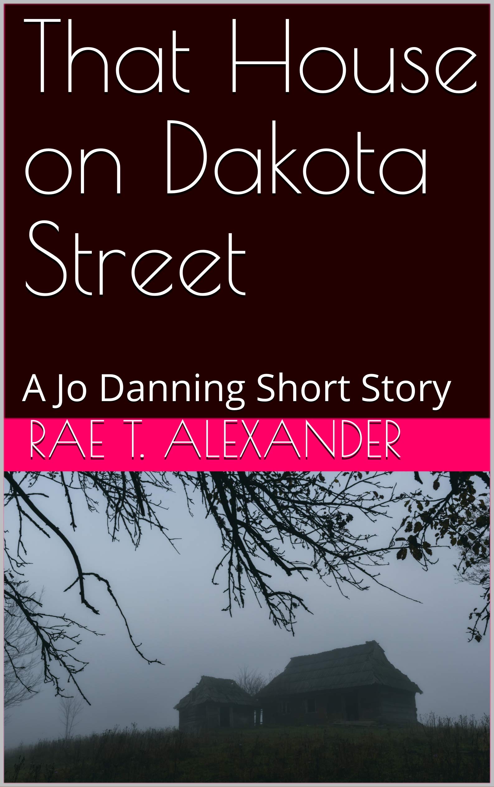 That House on Dakota Street: A Jo Danning Short Story: 1 (Wilmington Files)