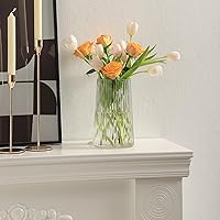 Vista 5 de Jarrón de vidrio transparente para flores, florero para ramo, jarrones de vidrio modernos, jarrones acanalados para sala de estar, dormitorio, mesa