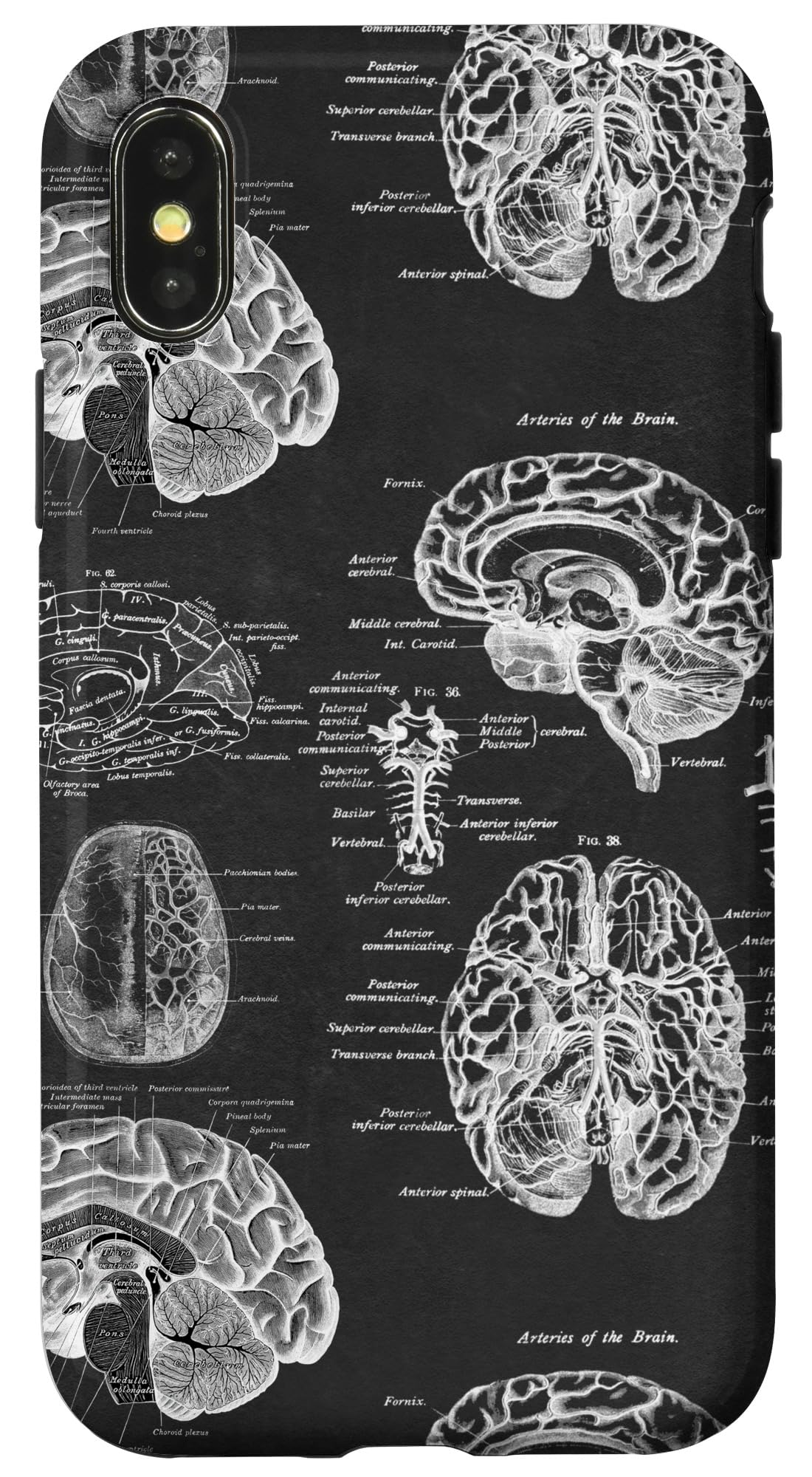 Brain Anatomy Vintage Medical Diagrams Case for iPhone X/XS