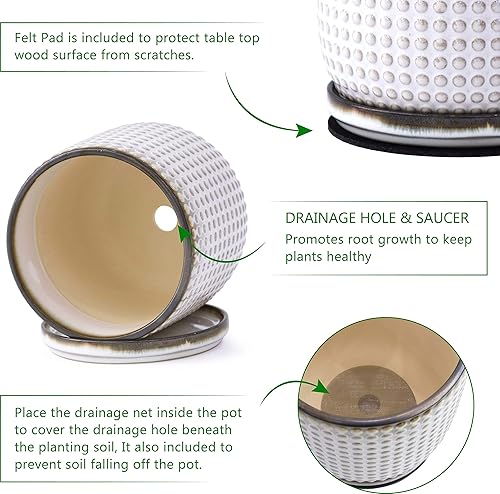 Miniatura 4 de Maceta de cuentas de cerámica con agujeros de drenaje y platillo