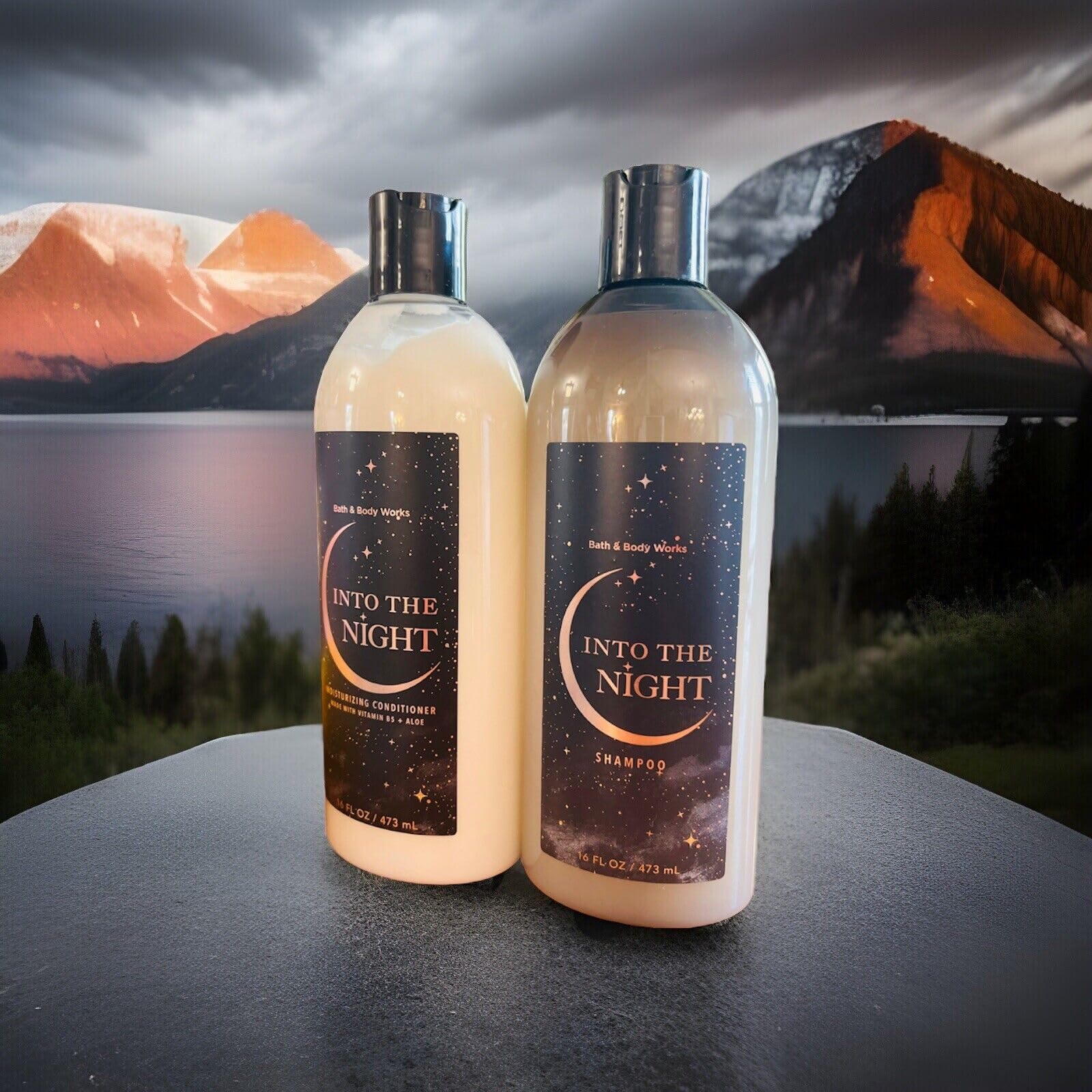 2 Shampoo and Conditioner Pair of 2 bottles 16 oz ea - Cleansing, Hydrating Shampoo Detangling, Moisturizing Conditioner Shower Hair Care (Into The