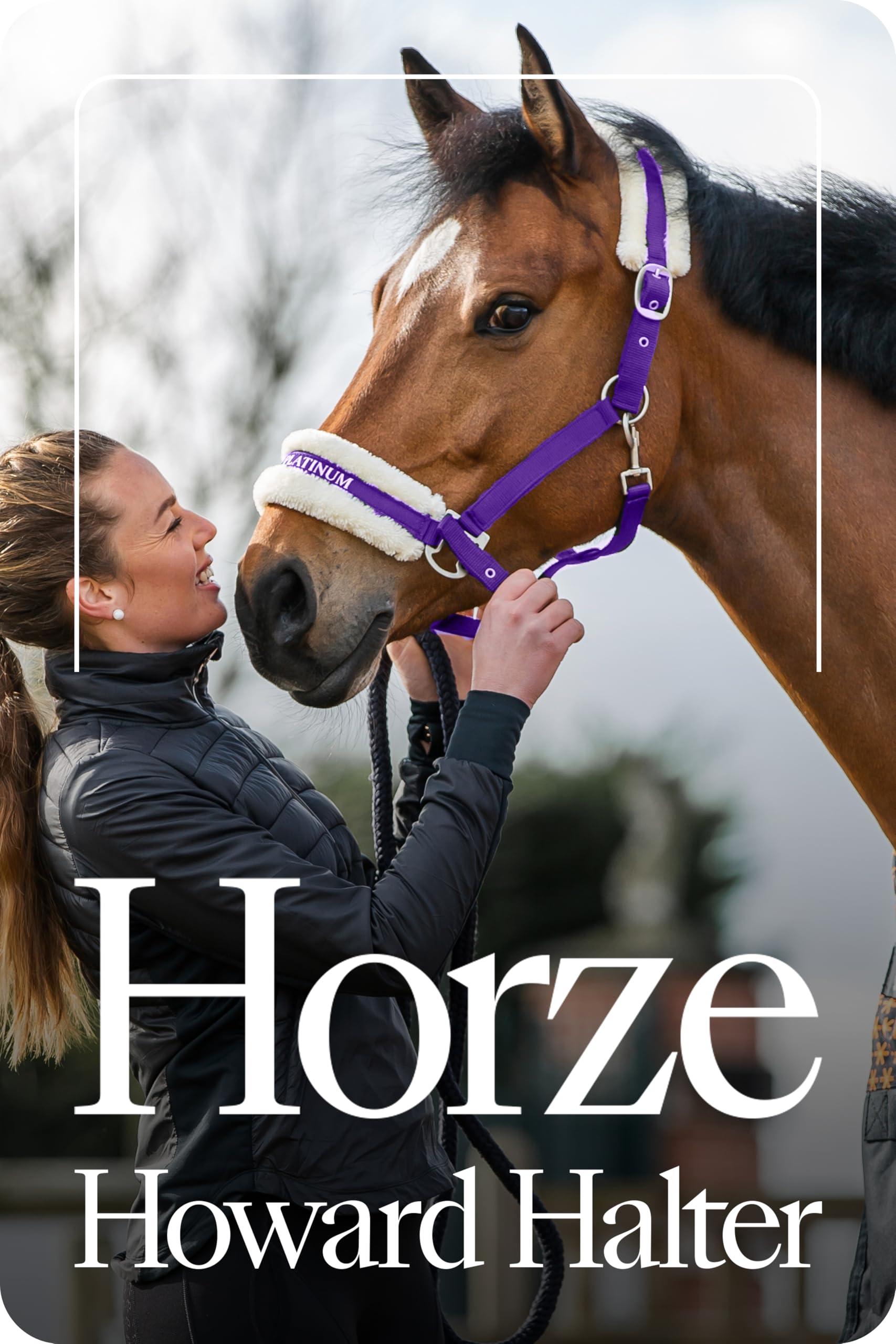 HORZE Cabezada Howard, Morado, C