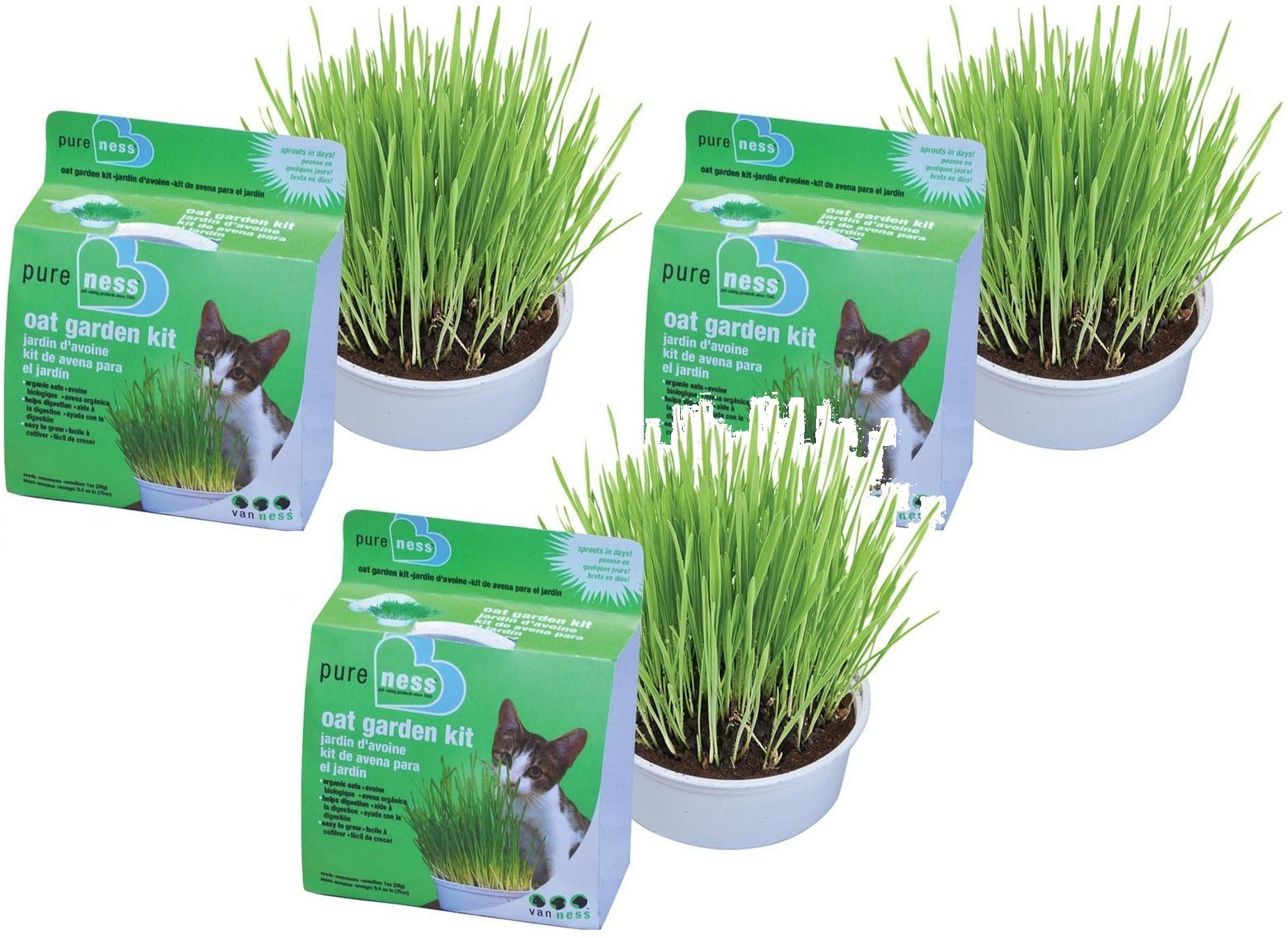 Van Ness Cat Starter Kit