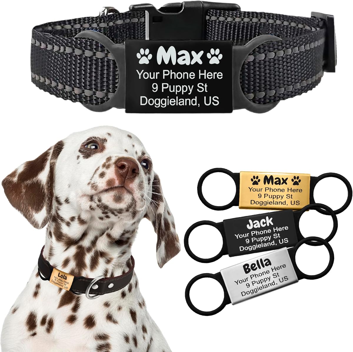 Personalized Slide-On Silent Pet ID Tag, Custom Engraved Elastic Band Name Plate and Phone for Collars and Harnesses, No Noise Charms for Dogs, Cats, Puppies, Kittens, or Horses