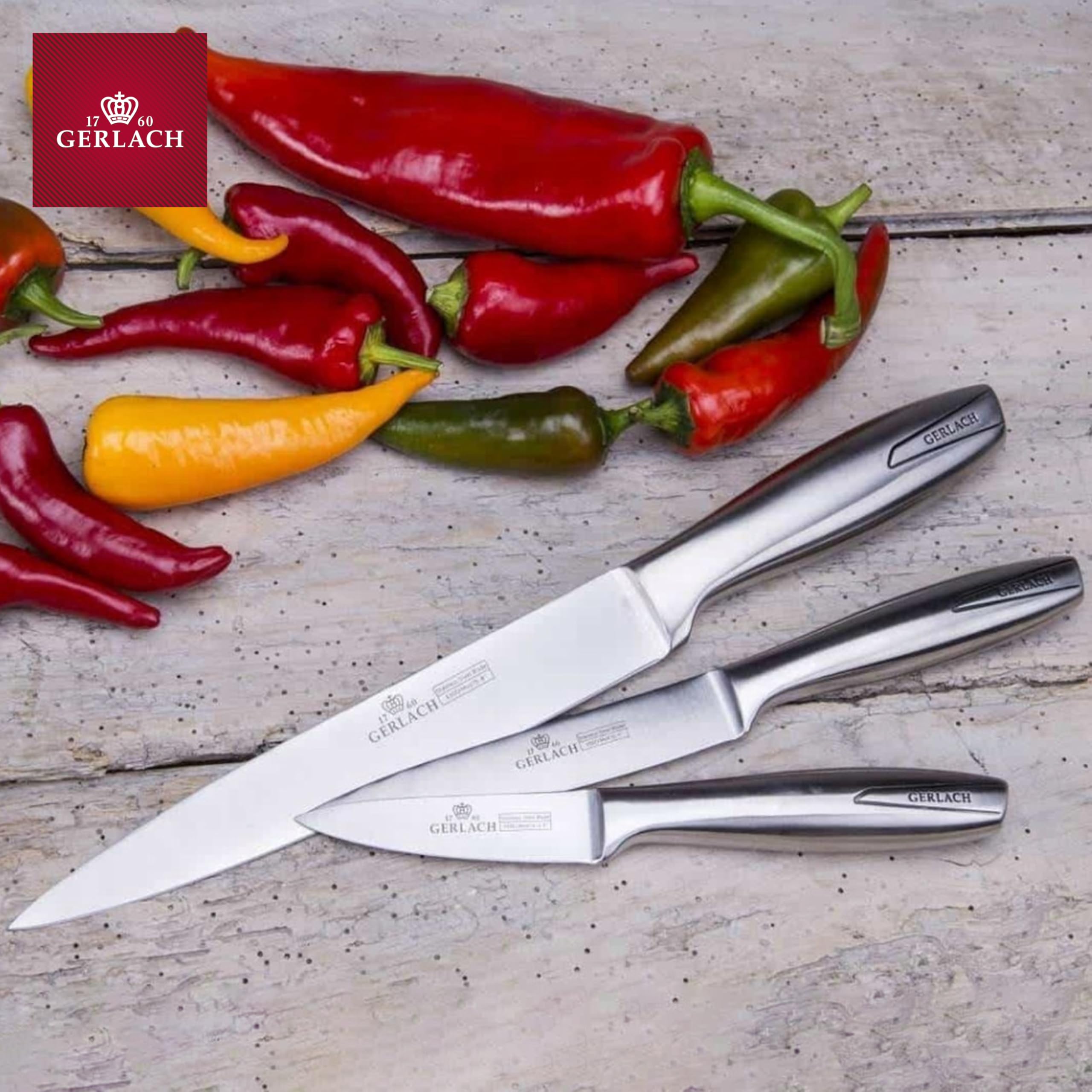 Image secondaire de Bloc de Couteaux Modern en Acier Inoxydable - Gerlach 1760