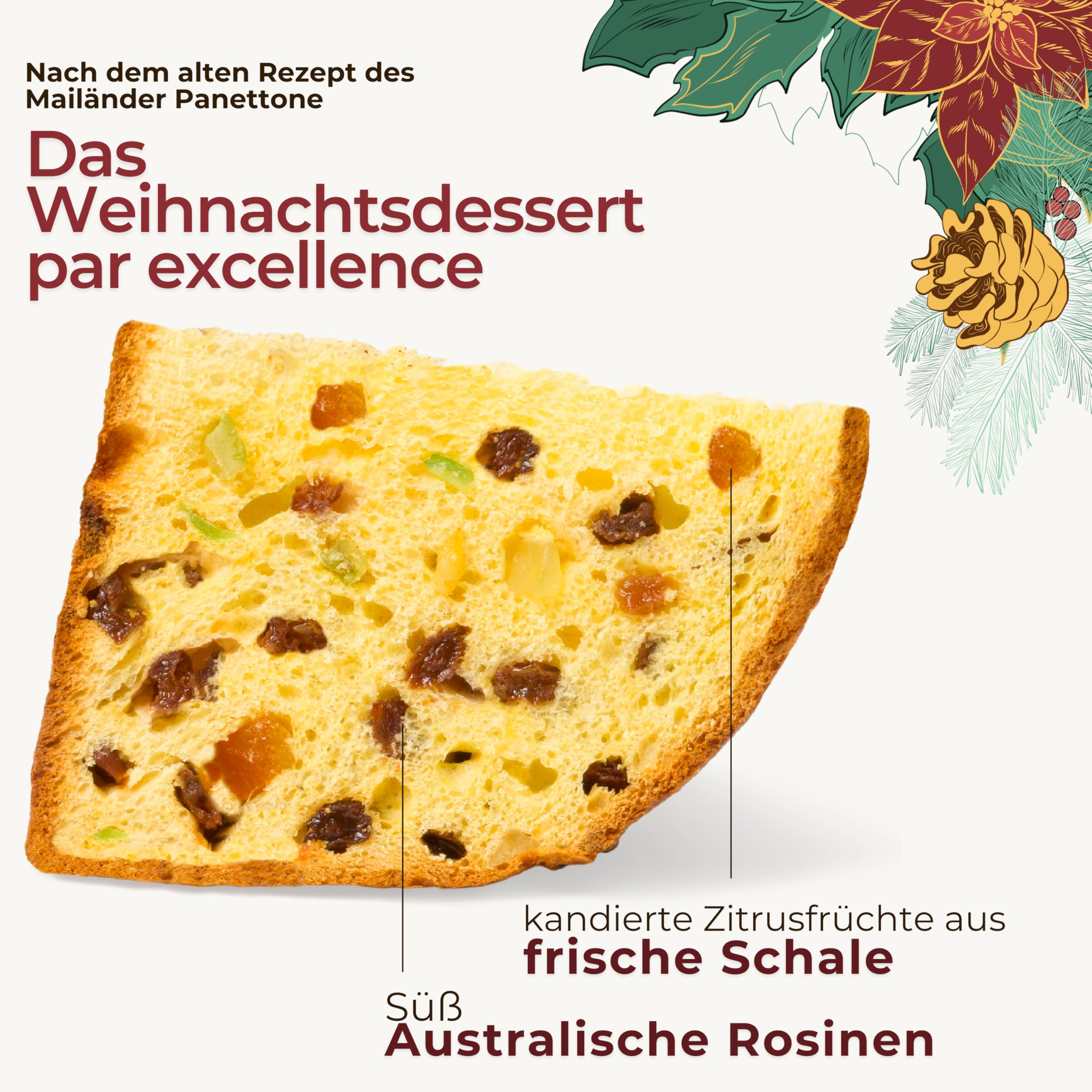 Artisan Panettone 1 kg – Klassischer Panettone, Pasticceria Fraccaro 1932, mit kandierten Früchten und Rosinen, natürlich gesäuerter Mailänder Panettone mit Mutterhefe, Tin Line
