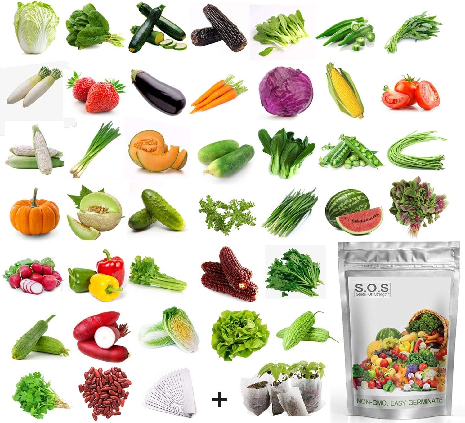 11,000 + Organic Seeds Vegetable Fruit Seeds Emergency-Survival Garden Food Outdoor Living (40 Variety)