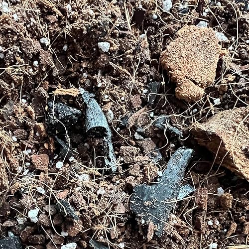 Miniatura 3 de Hoya Classic Potting Soil - Mezcla de tierra para macetas rePotme para plantas de interior (bolsa junior, 4 cuartos de galón)