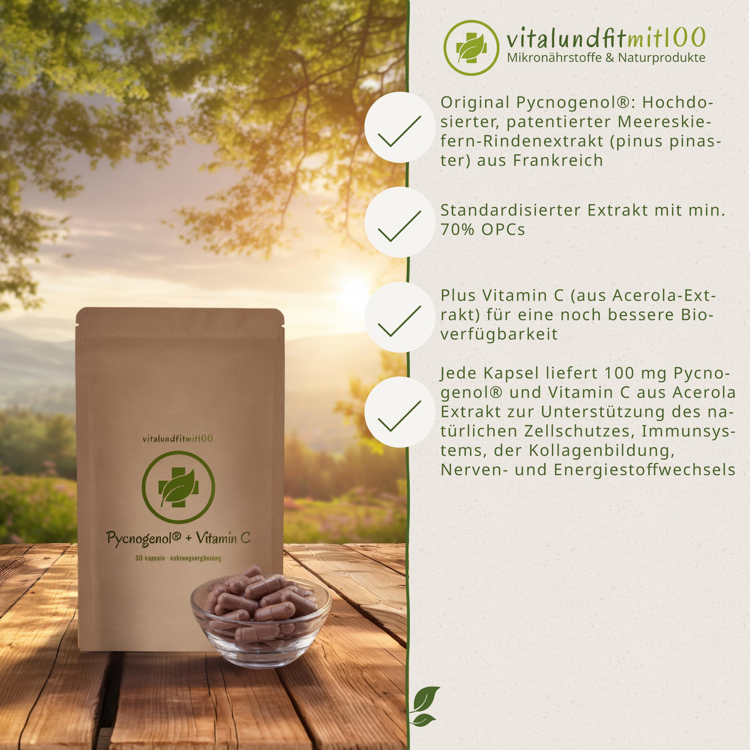 OPC Pycnogenol® (Pinienrindenextrakt) - mit Vitamin C aus der Acerolakirsche - 60 vegane Kapseln - Premium: Französische Meeresseekiefer