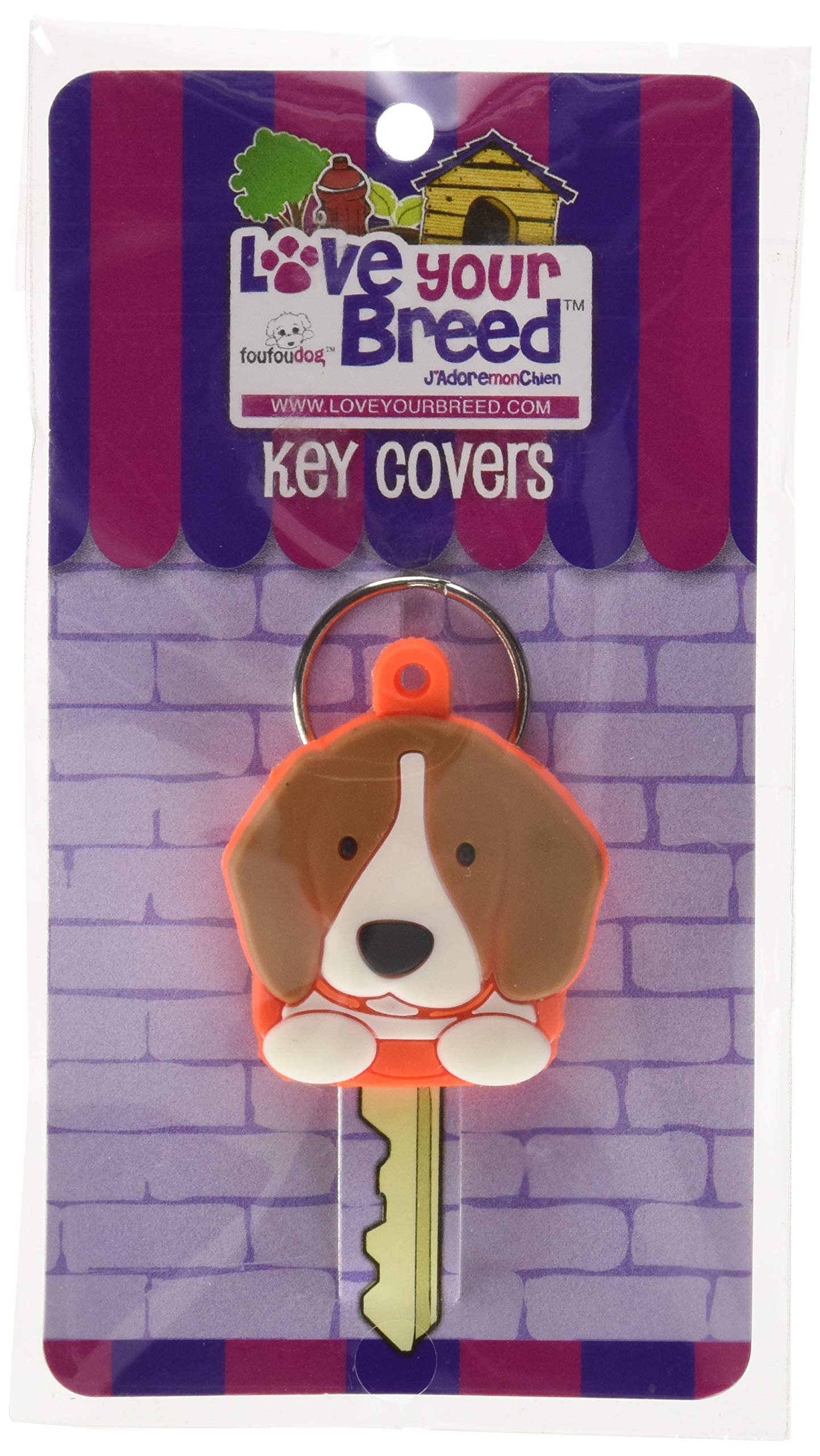 Dog Key Cover (Border Collie) In Kinokuniya Bookstore D Key Covers