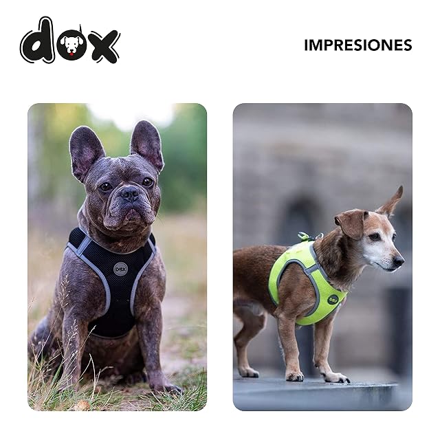 Foto 6 de 7 de DDOXX Arnés reflectante para perros Airmesh Step-In