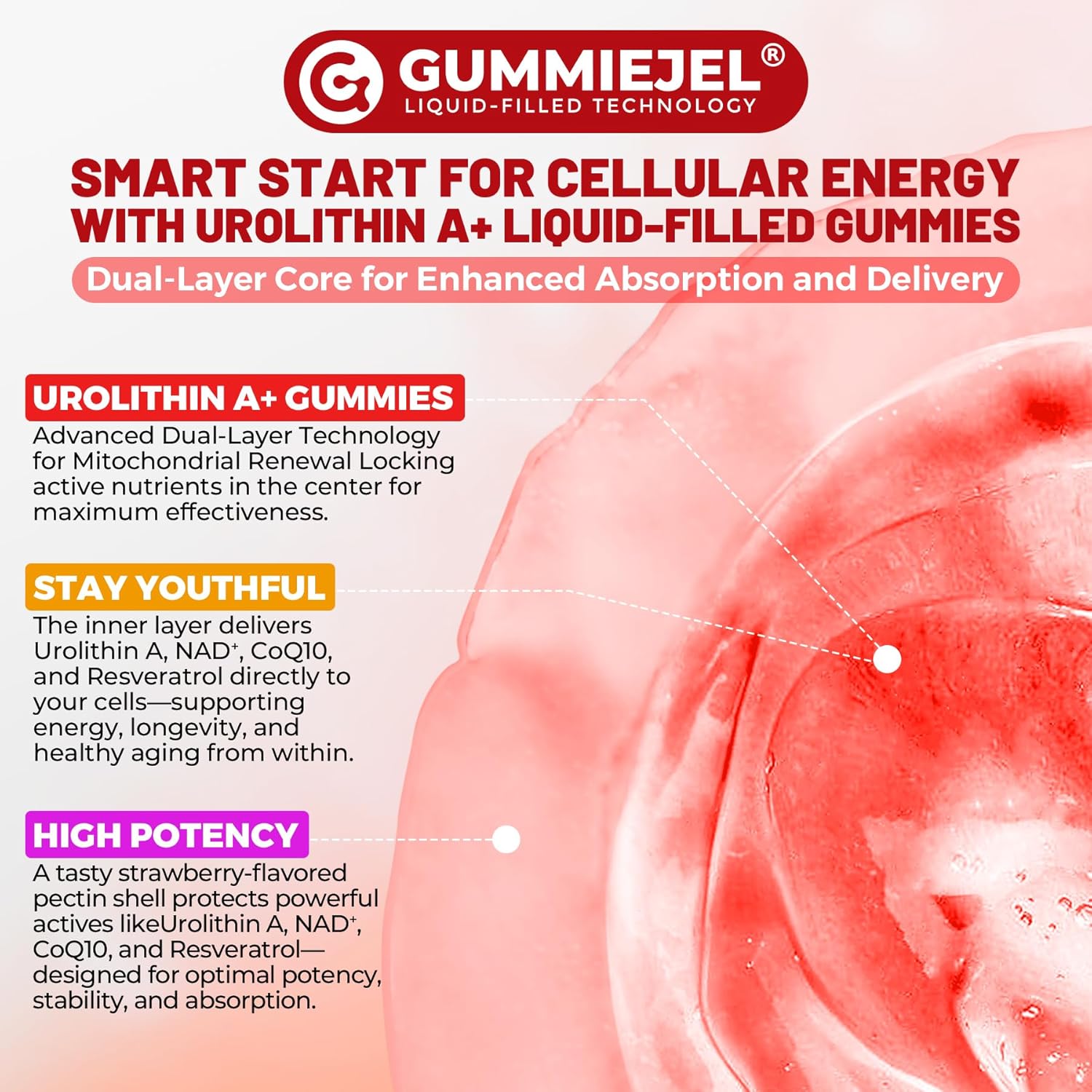 Urolithin A Gummies for Longevity & Muscle Energy, 1000mg Liposomal Urolithin A+ Supplement with NAD+, CoQ10, Resveratrol & L-Carnitine for Cellular, Mitochondrial, Brain & Heart Health, Vegan, 60ct - Image 7