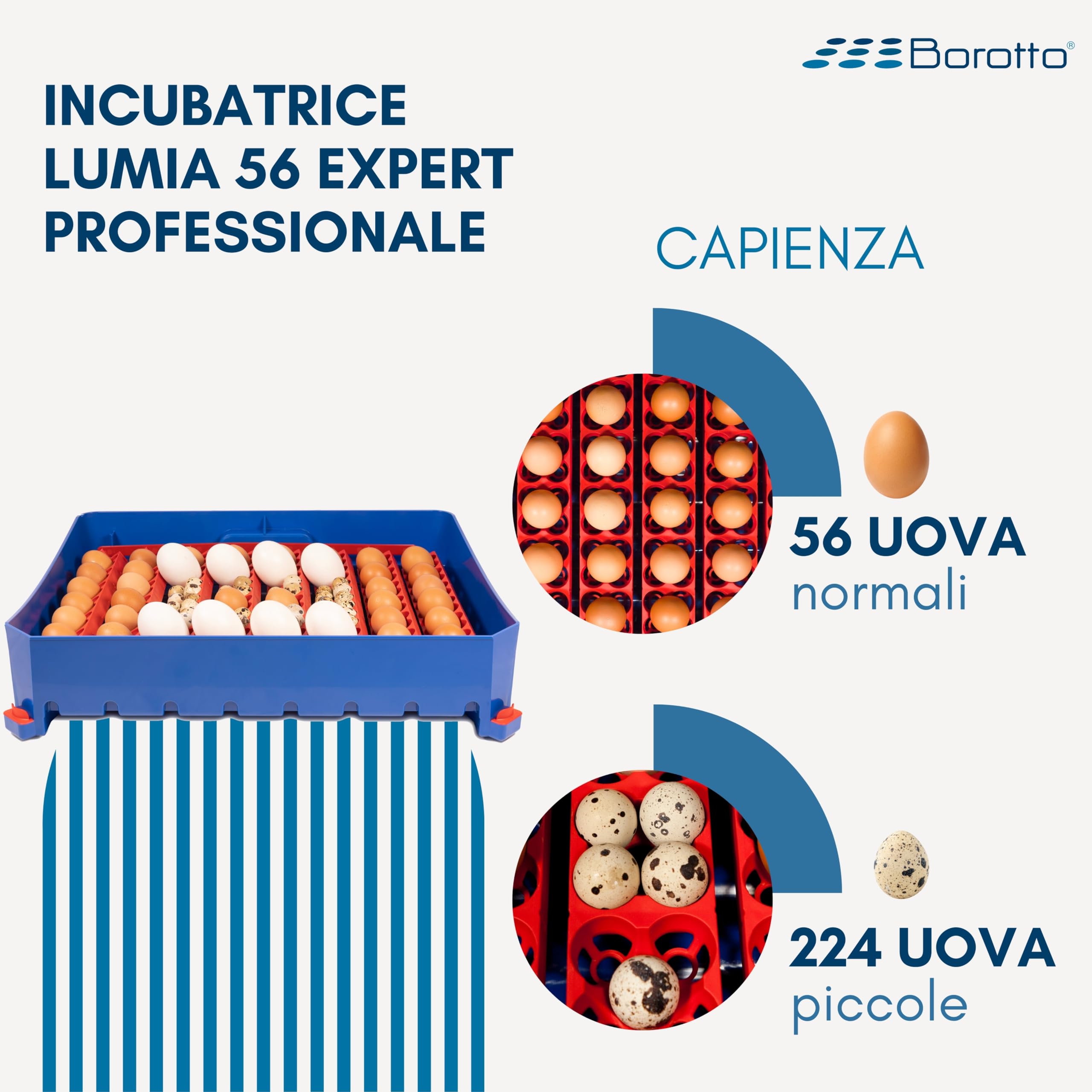 Borotto Lumia Expert | Incubatrice per Uova Automatica con Girauova Automatico, Controllo Temperatura e Umidificatore Automatico Sirio | Made in Italy (56)