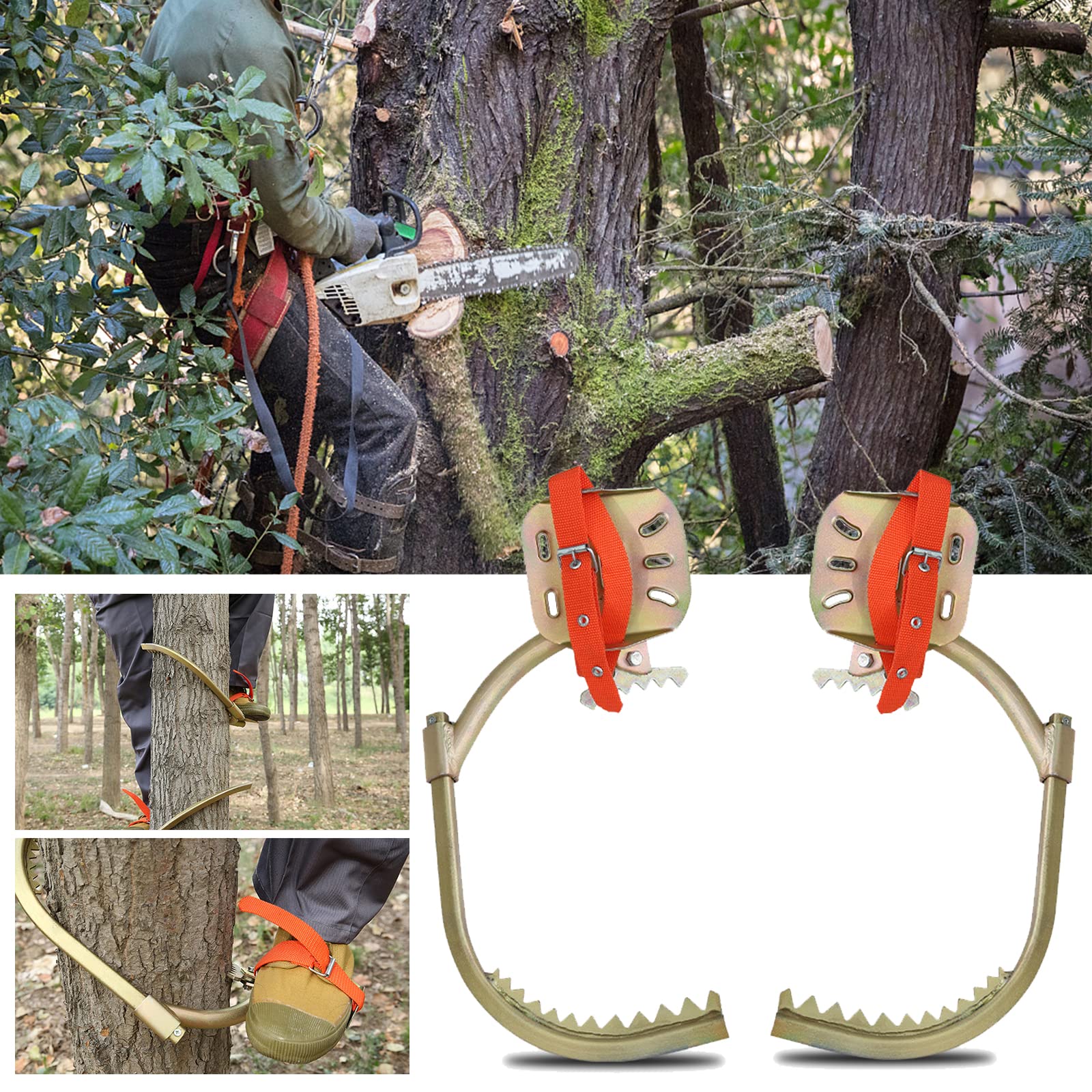 Pointes de soin des arbres avec ceinture de sécurité, crampons forestiers Crampons d'arbres, outils d'escalade pour les travailleurs électriques, sports d'intérieur et d'extérieur