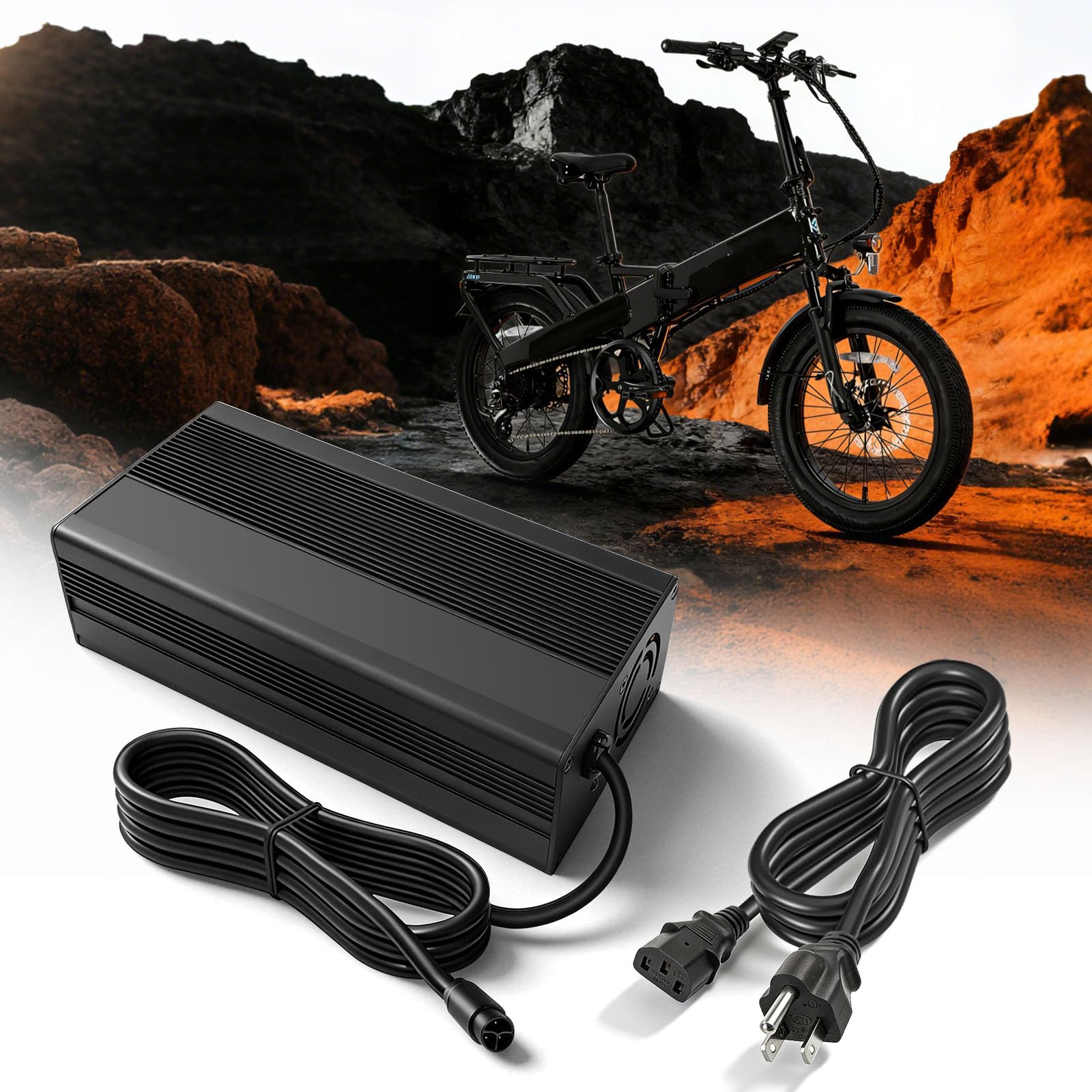 Amazon.com: JERBOR 54.6V 5A Battery Charger for Lectric XP4