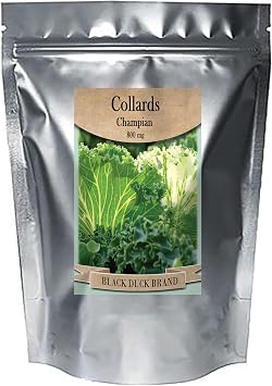 Bulk Seeds - Mylar Bag - Non-GMO - Heirloom - Packed in America - Current Year Collards, 1, Ounce