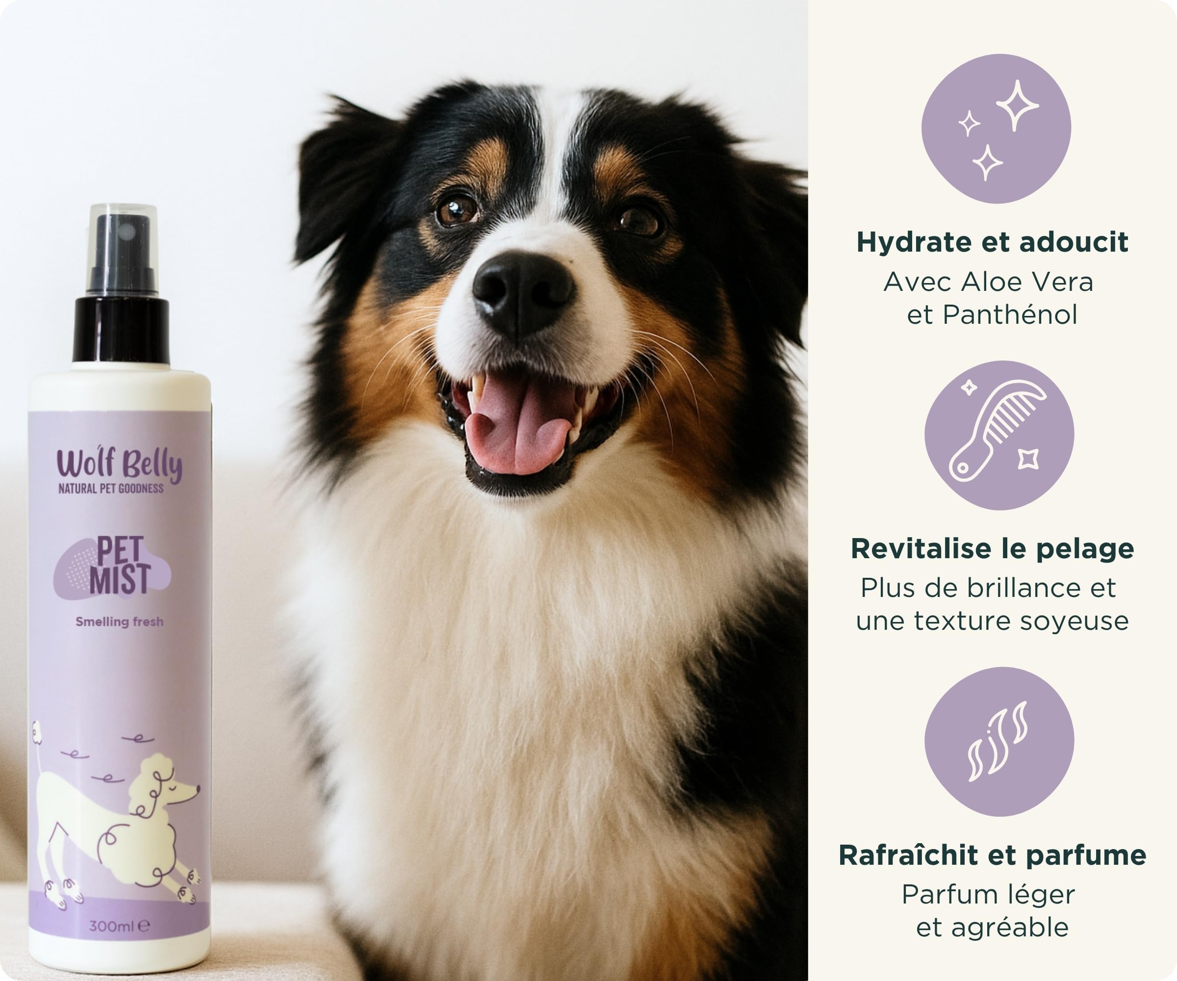 Wolf Belly - Pack Hygiène et Soin Complet pour Chiens et Chats | Shampoing + Après shampoing + Brume + Baume Coussinets | Aloe Vera 99%, Végan et Hypoallergénique - Fabriqué en UE