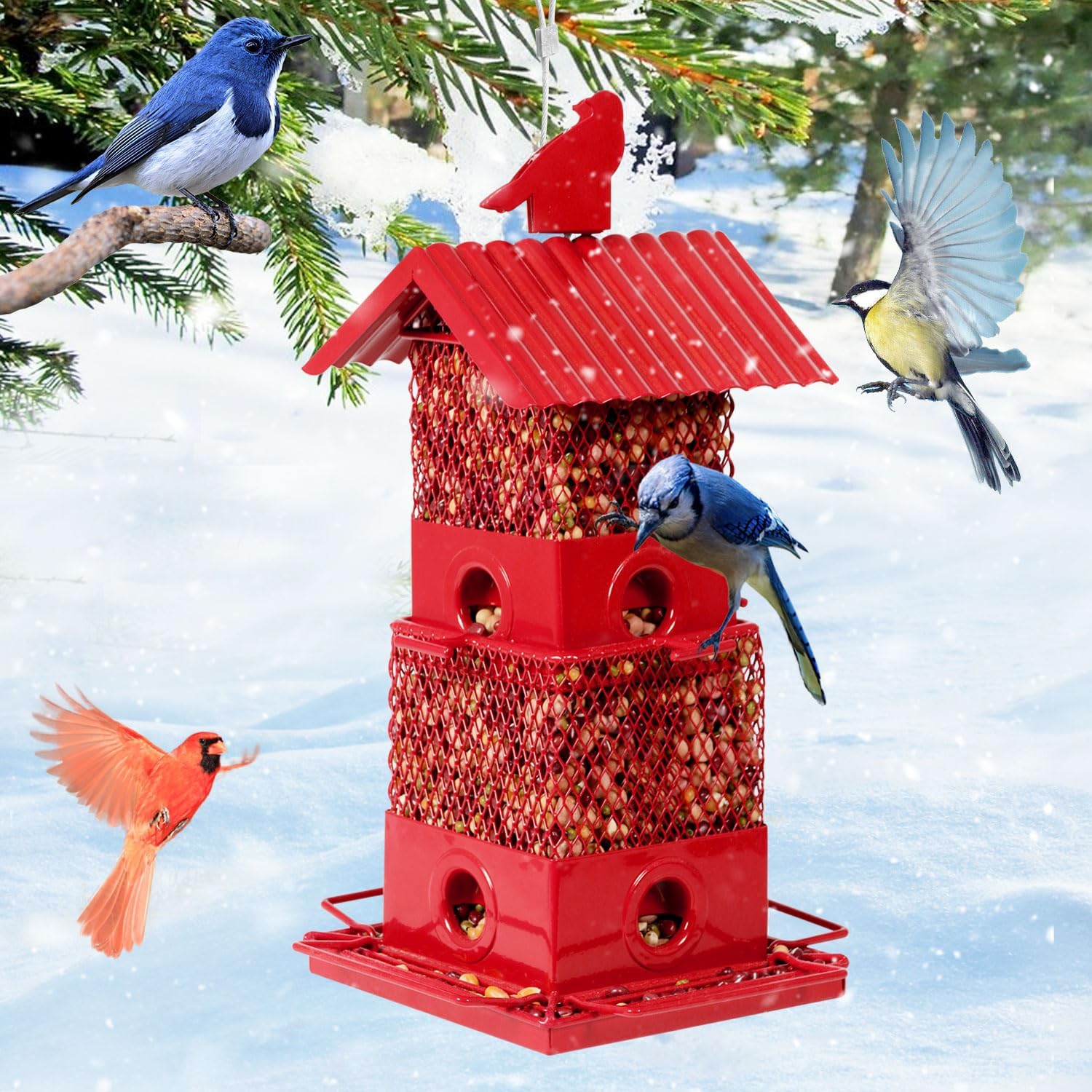 Amazon.com : Wild Wings Fantasy Floral Easy Clean Feeder : Patio, Lawn