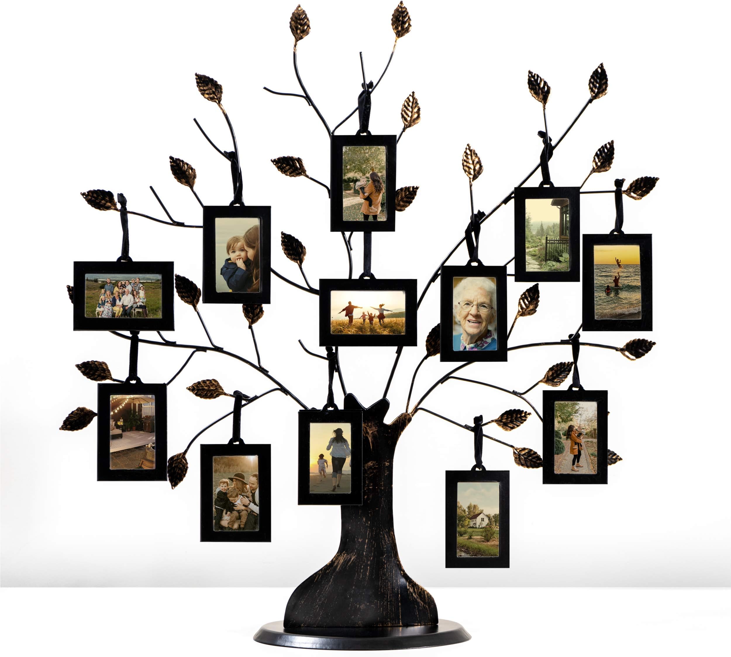 Thetford Design Family Tree Wall Hanging Collage Photo Frame with 6