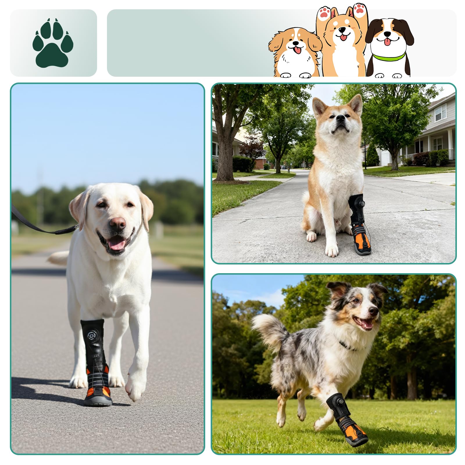 Ayuda correctiva para perros articulaciones zapatos ortopédicos elevador de pies para perros ayuda correctiva para problemas de pies elevador seguro mejora la marcha y el funcionamiento XL