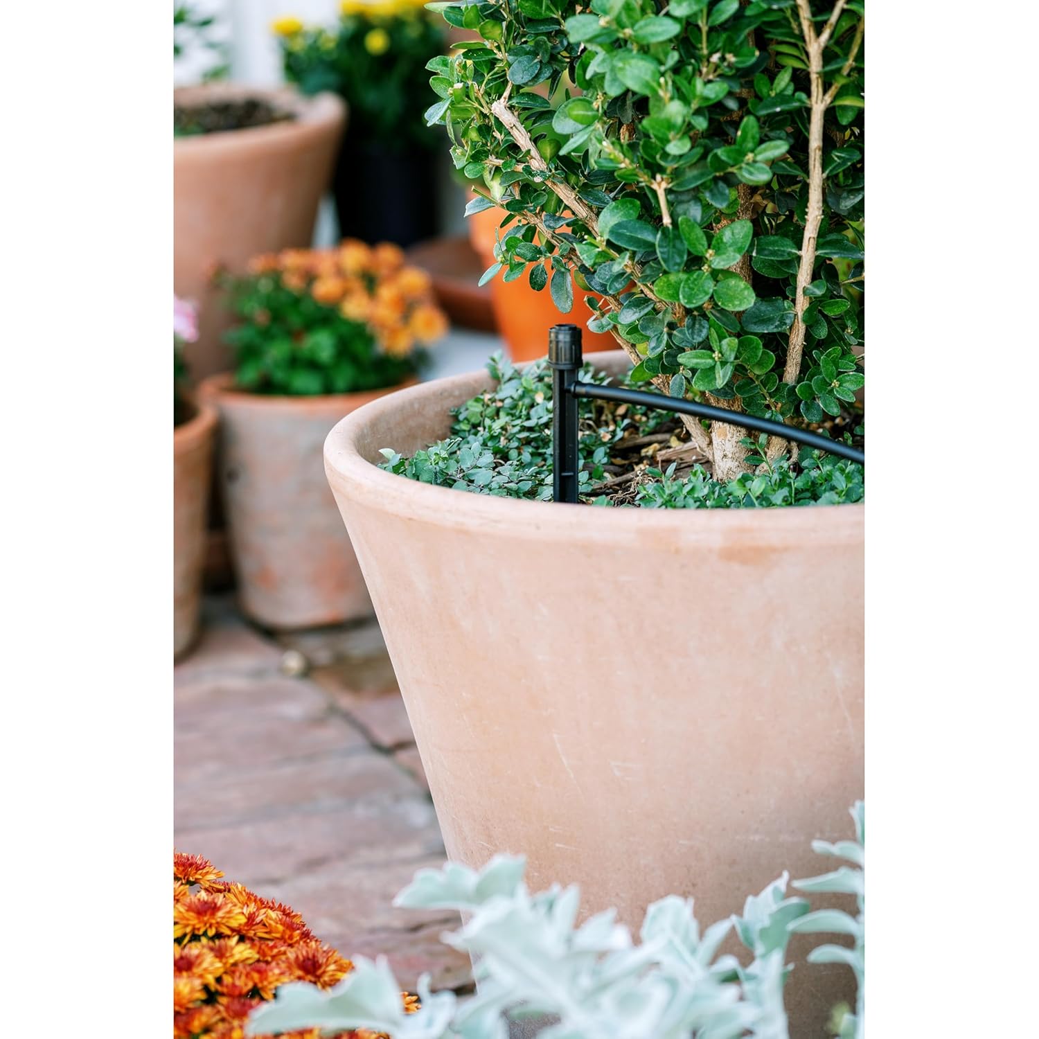 Orbit 56309 Planter Drip Irrigation Kit - 30ft Complete Watering System with Adjustable Micro-Bubblers for Container Gardens