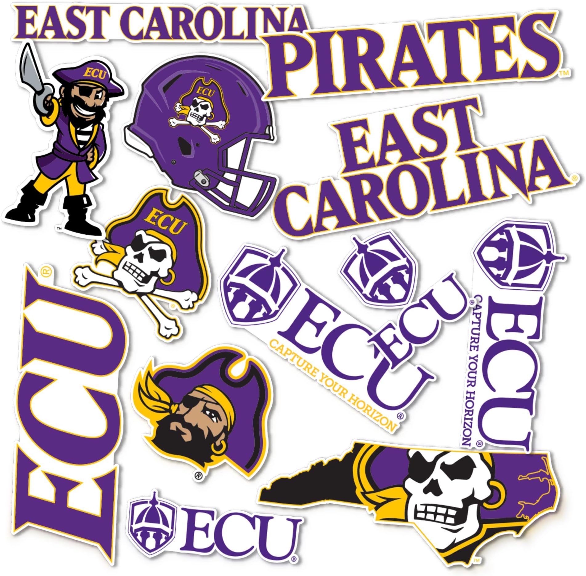 Desert Cactus East Carolina University Sticker - Pirates ECU Vinyl - East Carolina Pirates Decal Laptop Water Bottle Car Scrapbook (Type A)