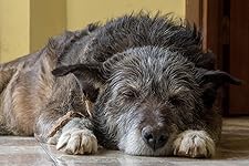 Review Image by David K David K