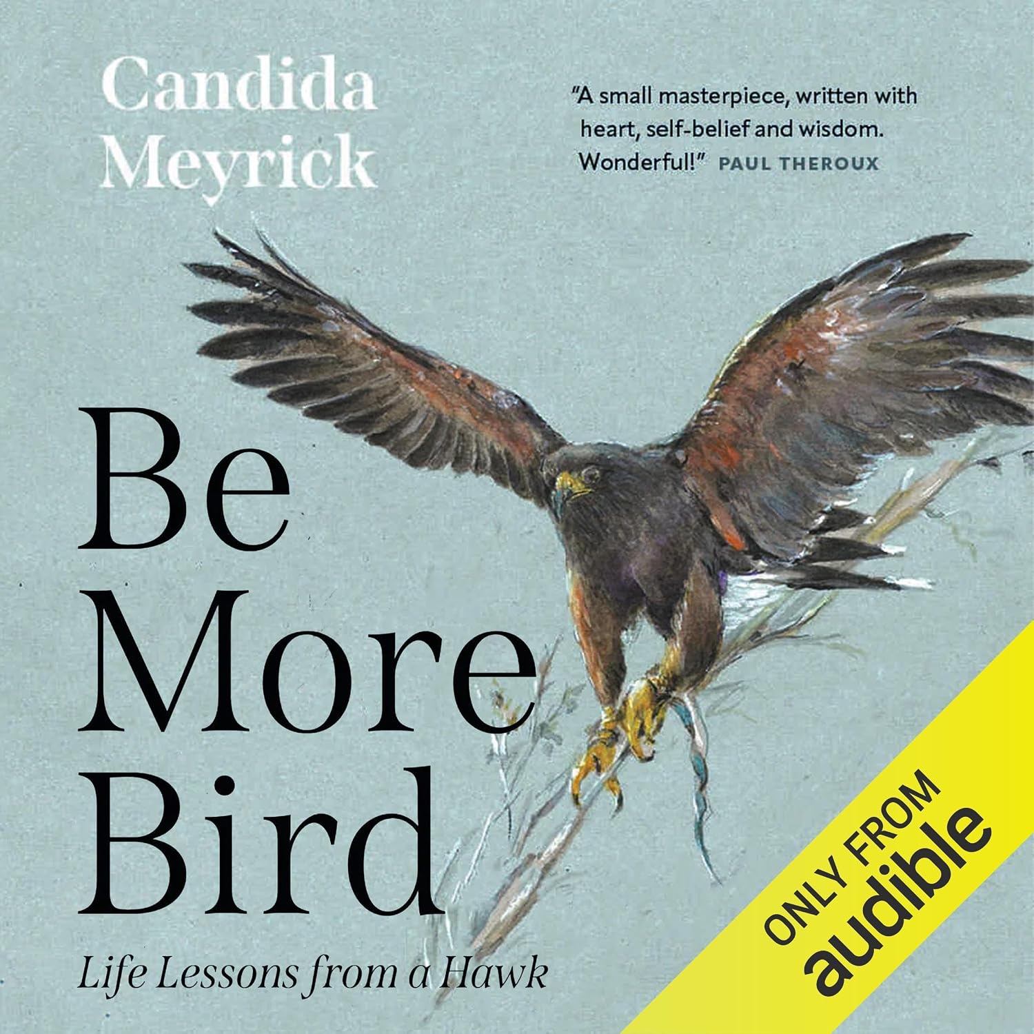 Life Lessons from a Hawk