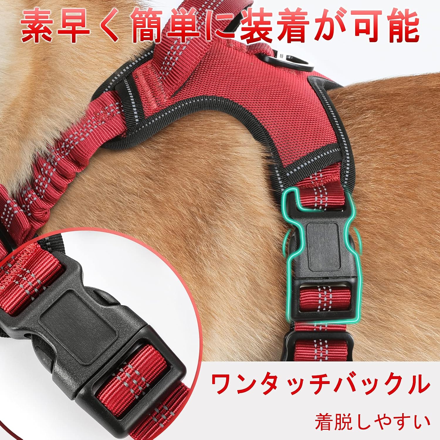 rabbitgoo Dog Harness, No Pull Vest Harness with Shock-Absorbing Bungee Straps, Adjustable Dog Walking Harness with Easy Control Handle, Reflective Pet Harness for Small Medium Large Dogs