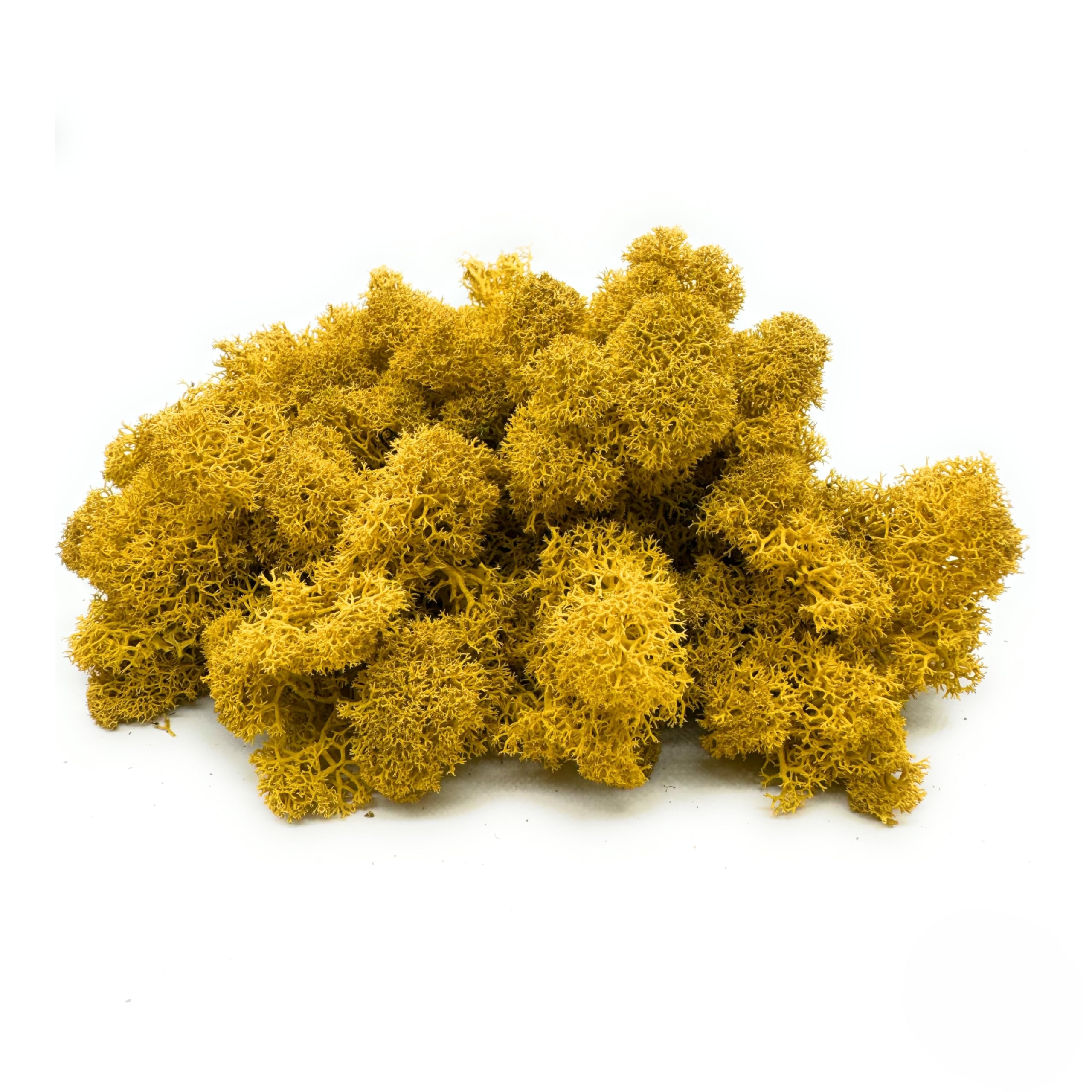 DIMOSA Mousse stabilisée, mousse décorative | 13 couleurs | 250 g / 500 g / 1000 g, mousse de renne stabilisée pour décoration, décoration ou modélisme (jaune, 1000 g)