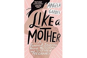 Angela Garbes' Masterful Exploration of Motherhood's Realities in 'Like a Mother'