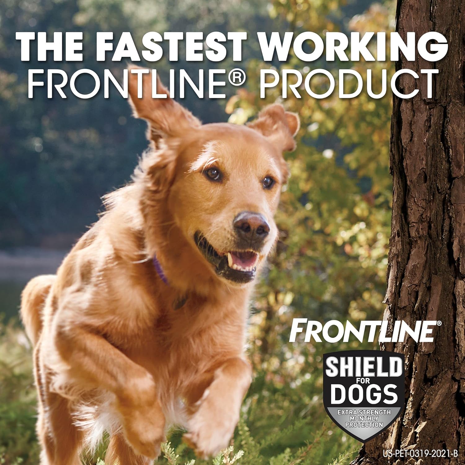 FRONTLINE Shield for Dogs Flea & Tick Treatment, 41-80 lbs, 3ct : Pet Supplies