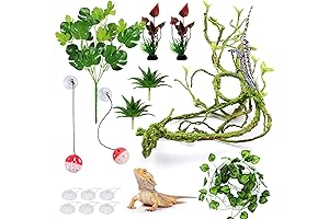 6PCS Bearded Dragon Accessories, 2PCS Reptile Plants, 2PCS Terrarium Hanging Plant Vines...