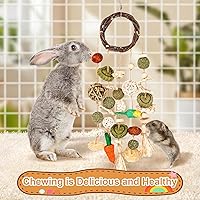 Vista 31 de VESPRO Juguetes de conejo para conejos, juguetes masticables de conejo para dientes, conejito para conejillos de indias, juguetes para masticar